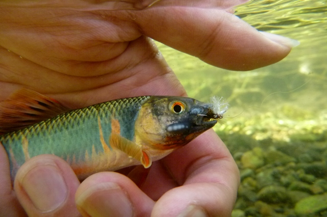 2012_0812_17.jpg
