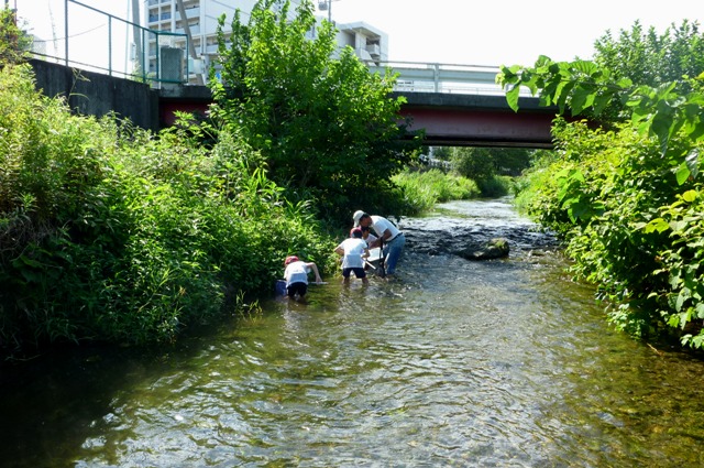 2012_0812_22.jpg