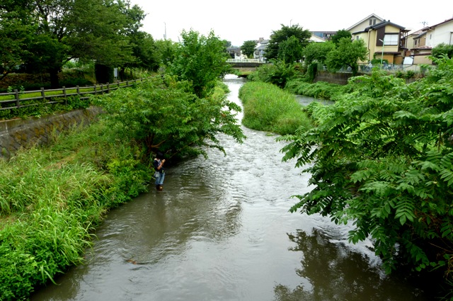 2012_0902_04.jpg