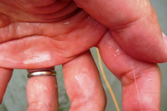 2012_0902_09.jpg