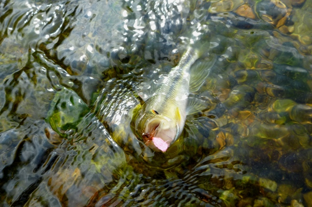 2012_0915_03.jpg
