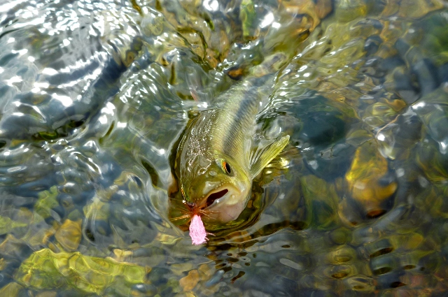 2012_0915_05.jpg