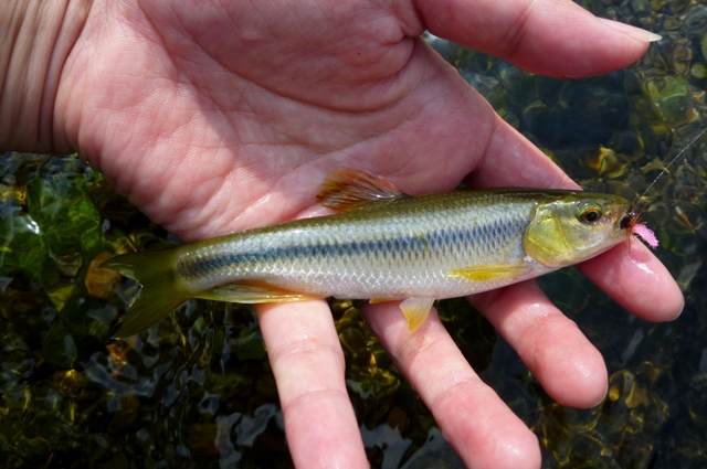 2012_0915_06.jpg