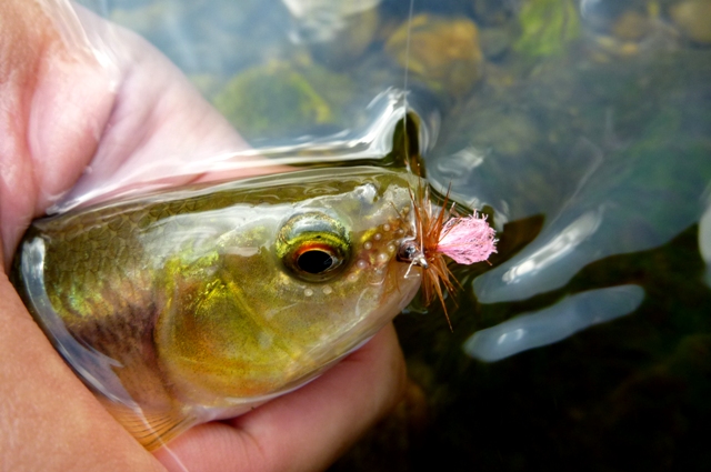 2012_0915_07.jpg