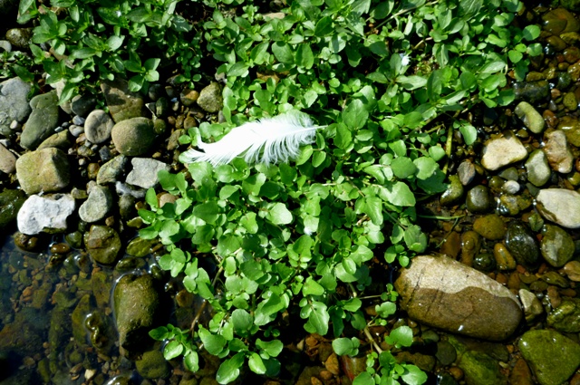 2012_0915_08.jpg
