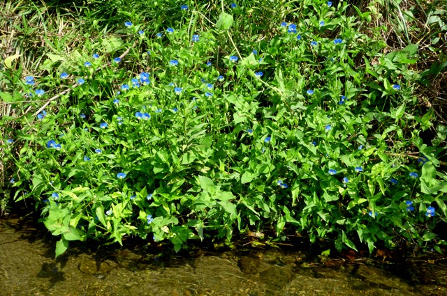 2012_0915_09.jpg