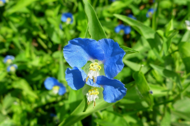 2012_0915_10.jpg