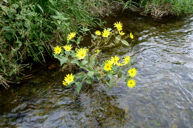 2012_0915_13.jpg