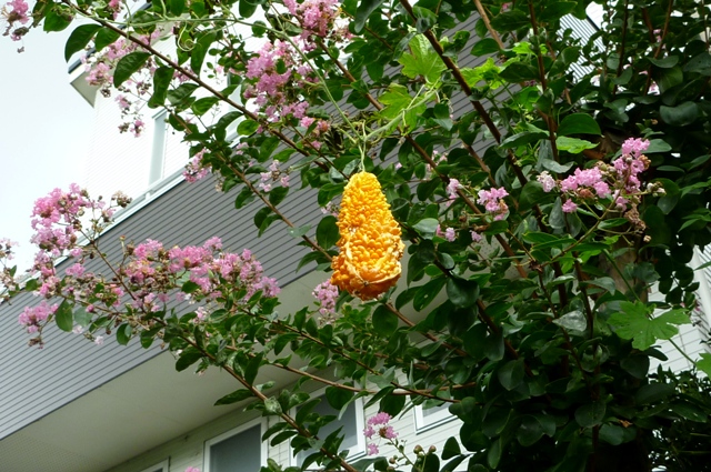 2012_0915_15.jpg