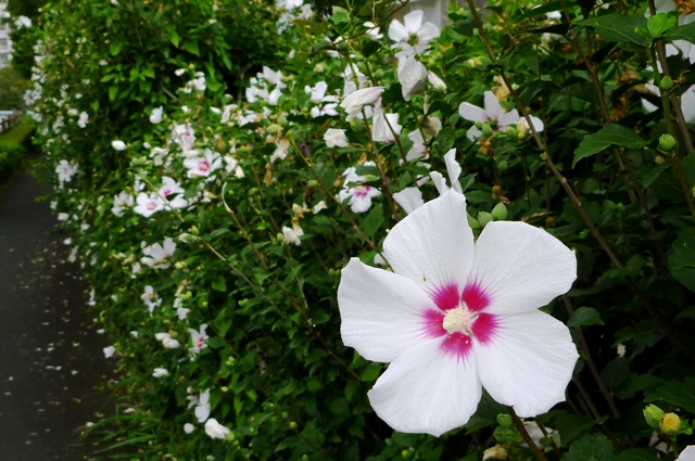 2012_0915_16.jpg