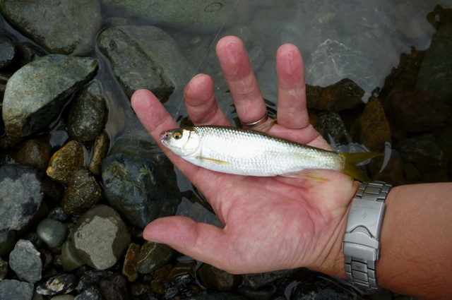 2012_0922_05.jpg