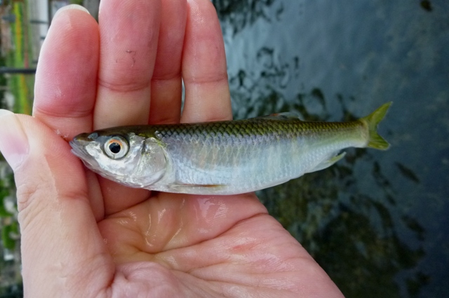 2012_1002_03.jpg