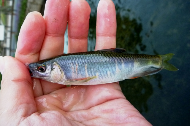 2012_1002_05.jpg