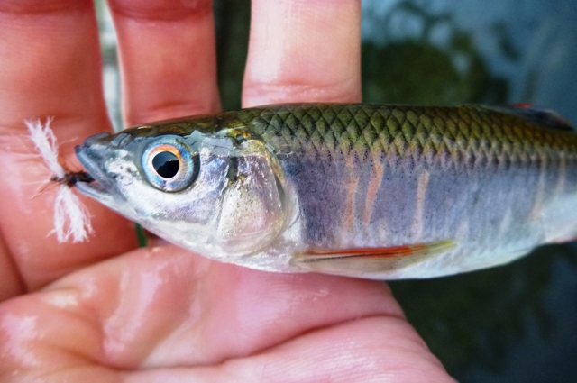 2012_1002_06.jpg