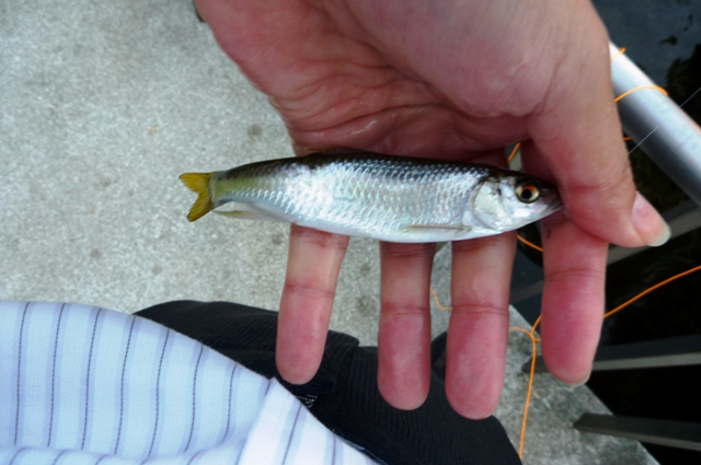 2012_1002_08.jpg