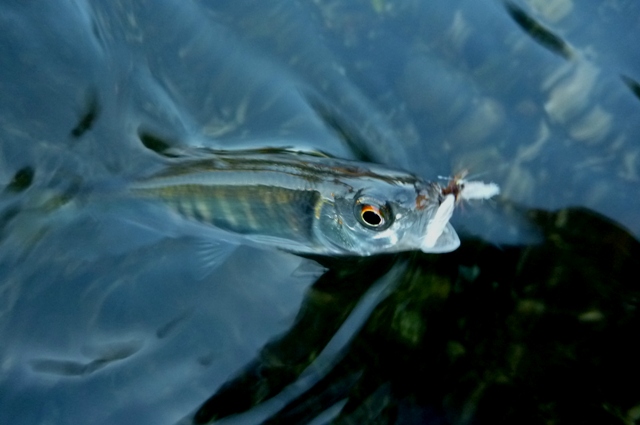 2012_1002_10.jpg
