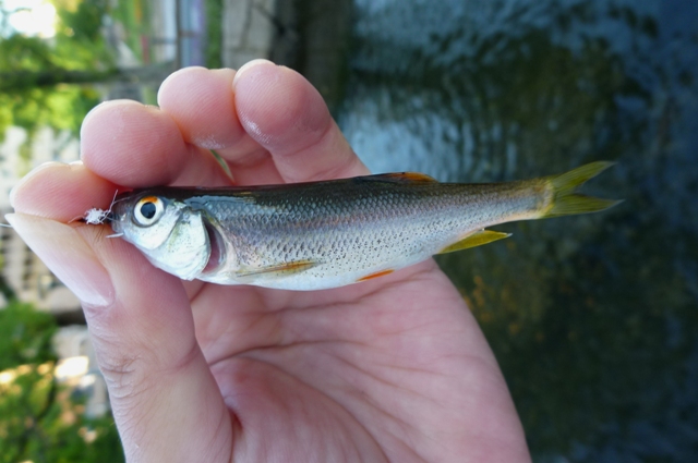 2012_1002_14.jpg