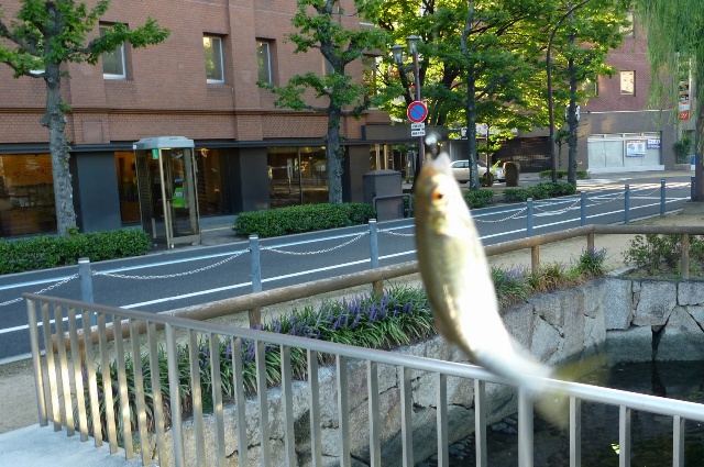 2012_1002_16.jpg