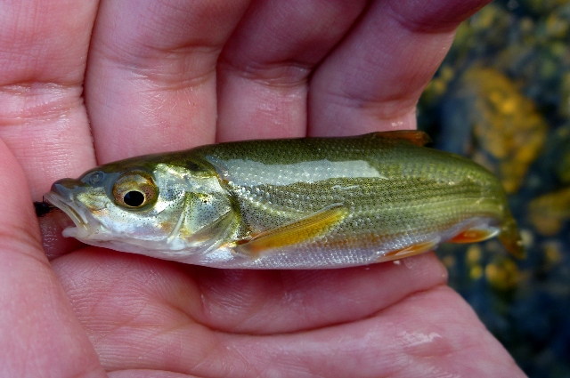 2012_1101_03.jpg