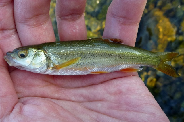 2012_1101_04.jpg