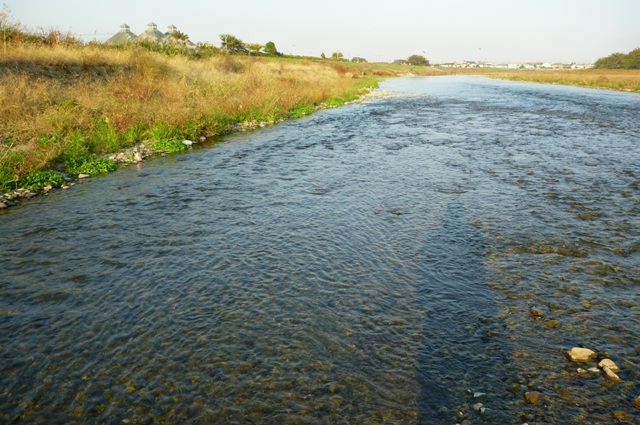 2012_1101_05.jpg