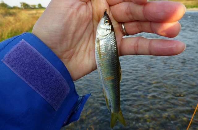 2012_1101_06.jpg