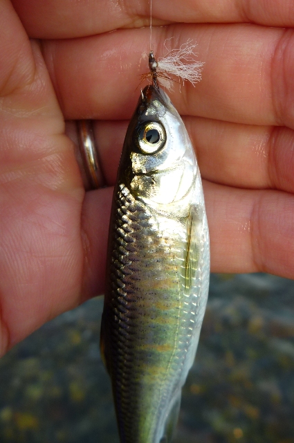2012_1101_07.jpg