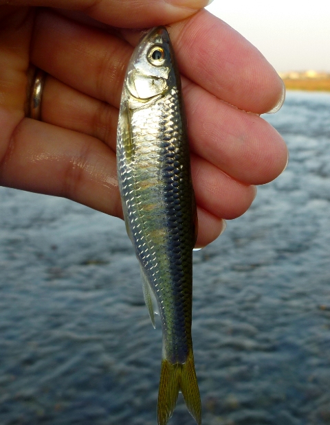 2012_1101_08.jpg