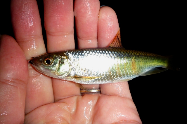 2012_1101_10.jpg
