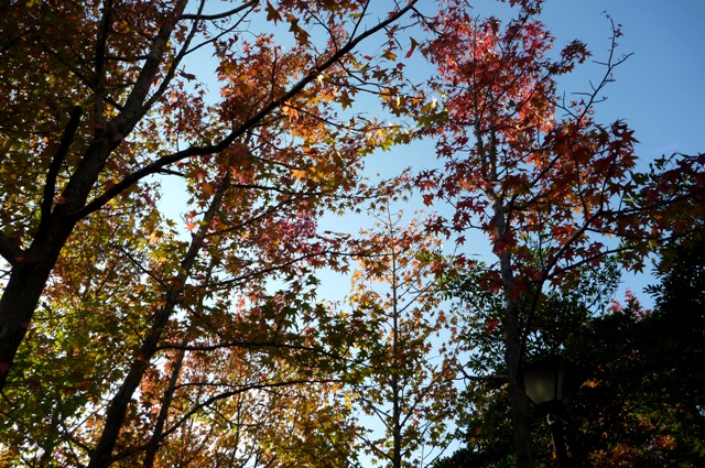 2012_1103_1.jpg