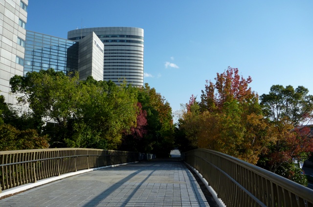 2012_1103_2.jpg