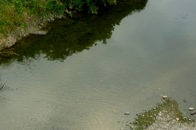 2012_1106_Setogawa_2.jpg