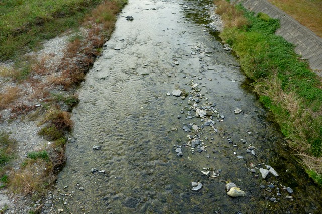 2012_1106_Setogawa_3.jpg