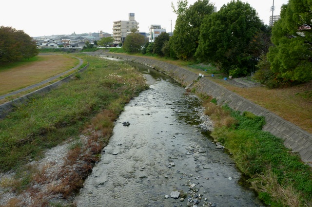 2012_1106_Setogawa_4.jpg