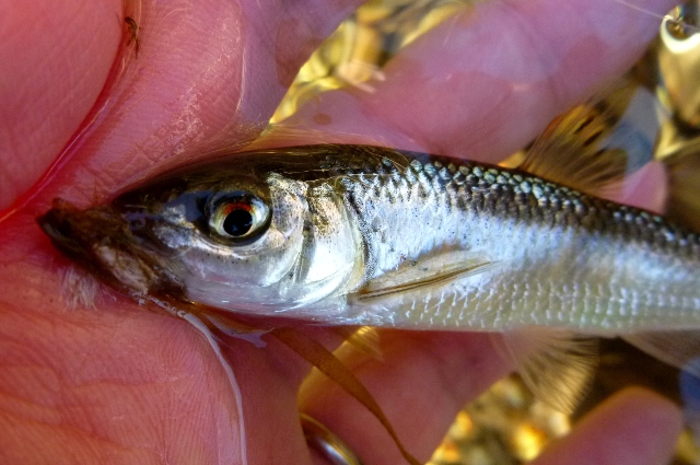 20130104_2.jpg