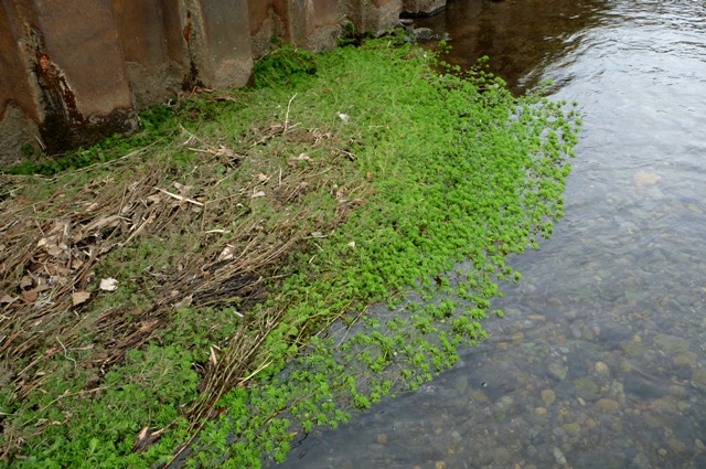 20130105_1.jpg