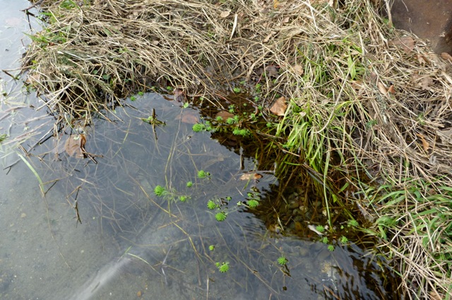 20130105_3.jpg