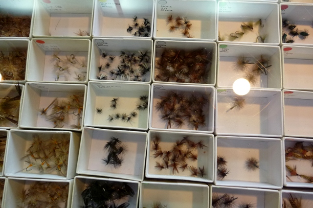4_Flies.jpg