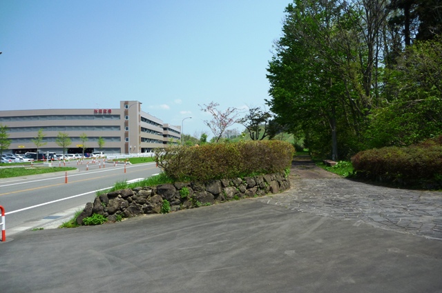 5_park.jpg