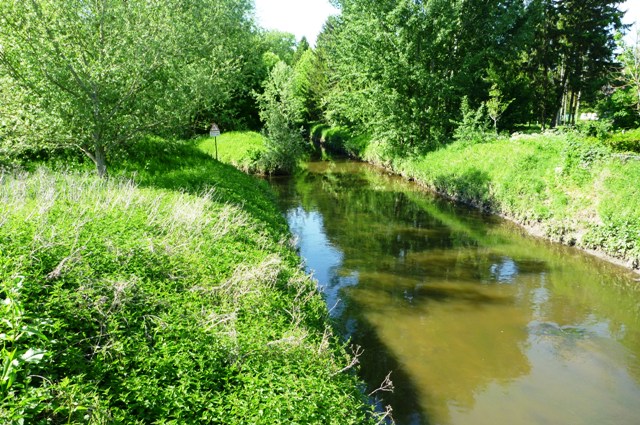 5_river.jpg
