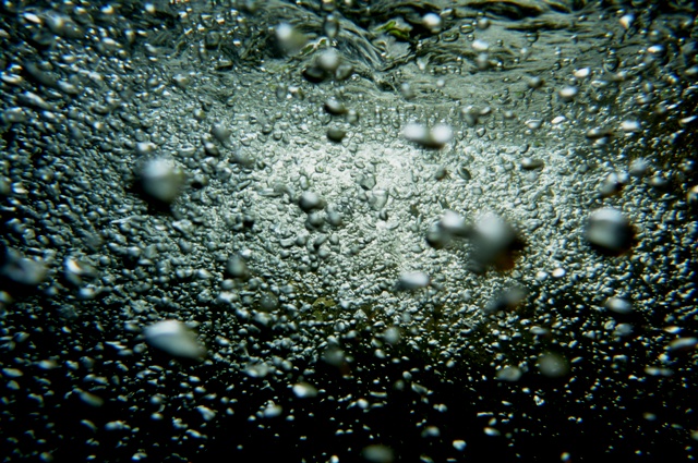 8_under_water_1.jpg