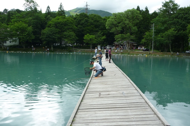 9_Nire_0815_2012.jpg