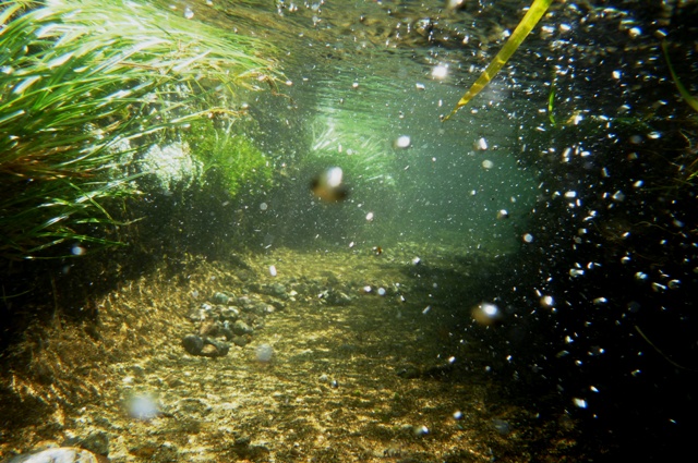 9_under_water_2.jpg
