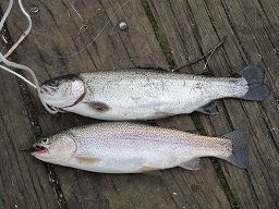 IMG_3123.jpg