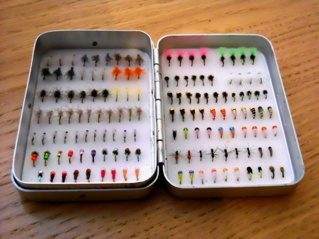 Mr_C_Fly_1.jpg