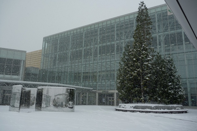 Shinaomori_2012_1220.jpg