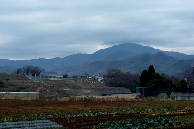 Tanzawa_2012_1221.jpg