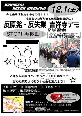 20121201吉祥寺デモビラ