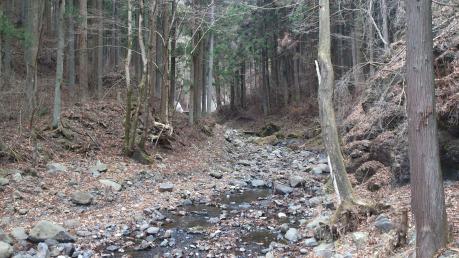 130330-34.jpg