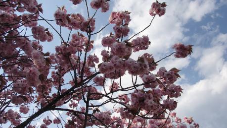 130506-018.jpg